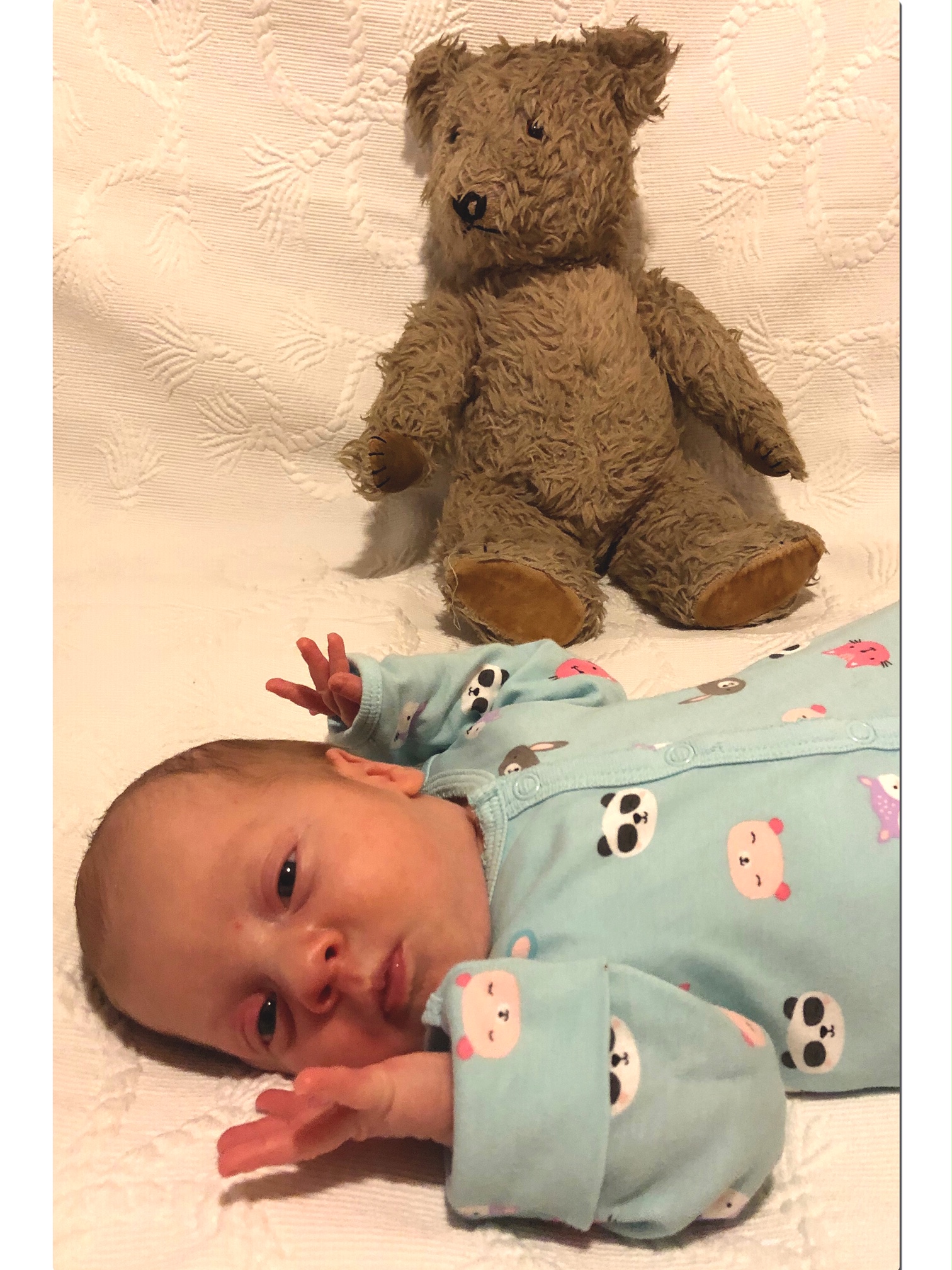 Babyfoto – Samuel aus Leibnitz